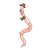 Pink Worm Color PNG