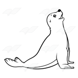 Light Gray Seal