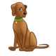 Brown Dog with green collar