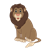Brown Lion Color PNG