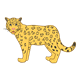 Gold Jaguar with black spots