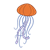 Orange Jellyfish Color PNG