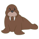 Brown Walrus sitting on front flippers