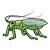 Green Insect Color PNG