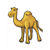 Dromedary Camel Color PDF