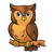 Brown Owl Color PNG