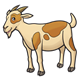 Spotted Goat 