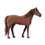 Brown Horse Color PDF