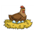 Chicken Color PDF