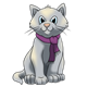 Gray Kitten with a purple scarf