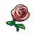 Rose Color PDF