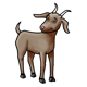 Brown Goat 