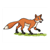 Fox on Grass Color PDF