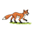Fox on Grass Color PNG