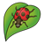 Ladybug on a Leaf Color PNG