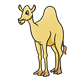 Yellow Camel facing left
