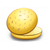 Hamburger Bun Color PDF