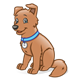 Brown Dog with a blue collar