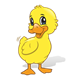 Yellow Duck smiling