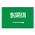 Saudi Arabia Flag Color PDF