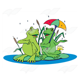 Frogs in Rain