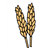 Wheat Stalks Color PDF