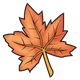 Maple Leaf orange