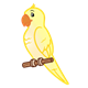 Yellow Parakeet on perch