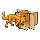 Fox in Box 