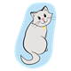 Gray Cat with a light blue background