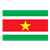 Suriname Flag Color PNG