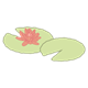 Pale Green Lily Pads with a lily