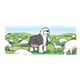 Sheepdog with Sheep in a field