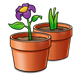 Two Clay Pots with plants