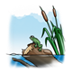 Frog on a Log with cattails