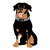 Rex the Rottweiler Color PNG