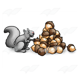 Gray Squirrel with Nuts