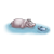 Two Hippos Color PNG