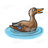 Mother Mallard Duck
