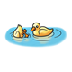 Two Ducklings one with head in water
