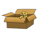 Golden Puppy in a box
