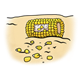 Pecked Corn on the Cob on ground