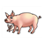 Pigs Color PDF