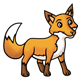 Orange Fox standing