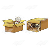 Boxes of Puppies