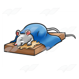 Sleeping Mouse
