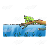 Frog on a Branch