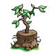 Tree for Planting with dirt