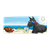 Scottie at the Beach Color PNG