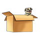 Pug Puppy in Box looking out
